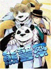 猫咪观察日记